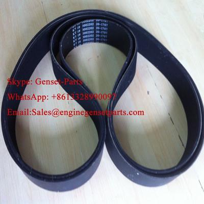 Genuine Cummins 3002202 Belt Wholesaler