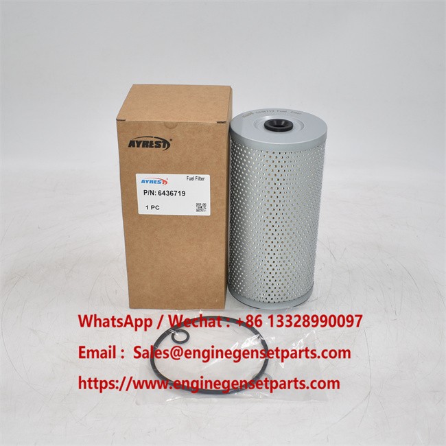 6436719 Fuel Filter