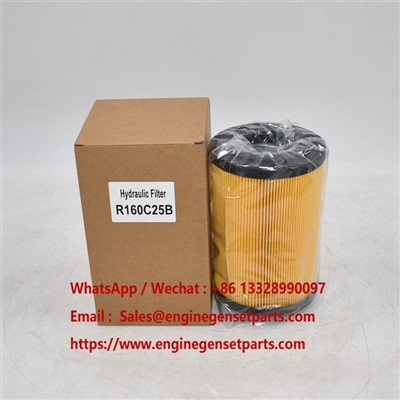 Filtro Hidráulico R160C25B