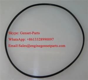 Anel de vedação Cummins L10 M11 3047188